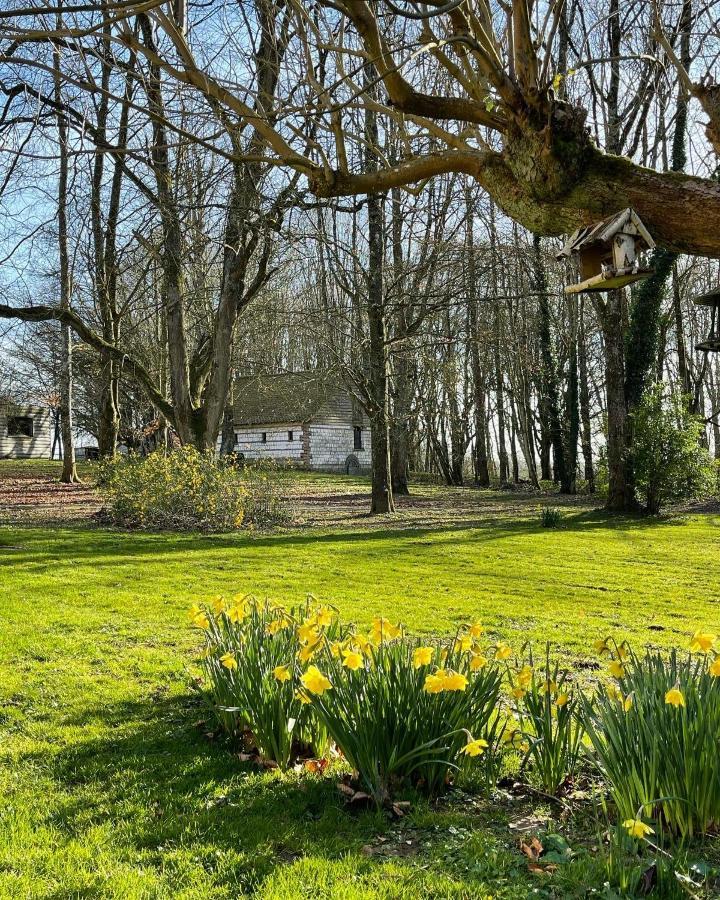 Domaine De Fresnoy Bed and Breakfast Loison-sur-Créquoise Εξωτερικό φωτογραφία