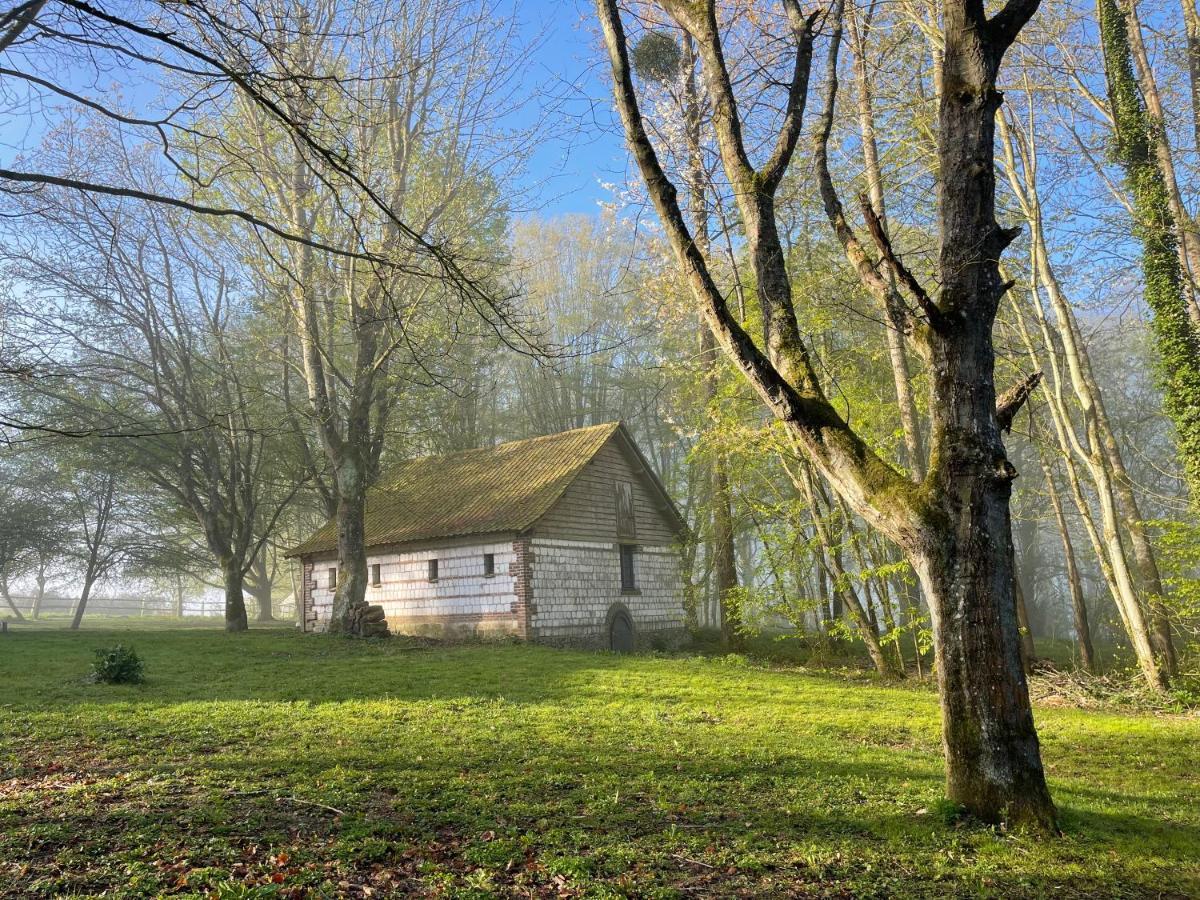 Domaine De Fresnoy Bed and Breakfast Loison-sur-Créquoise Εξωτερικό φωτογραφία